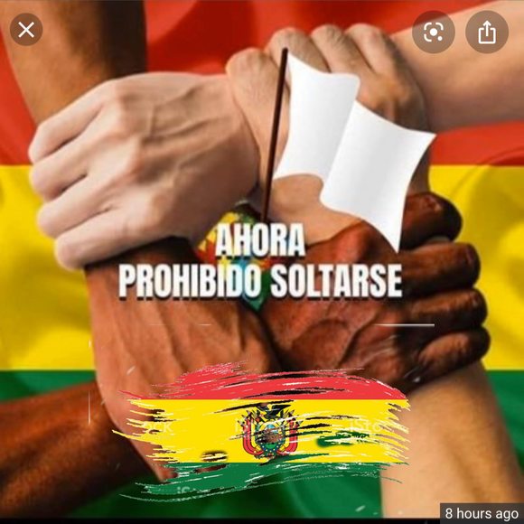 Meet your Posher, Ernesto - Picture 1 of 1